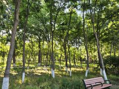 -大兴滨河森林公园