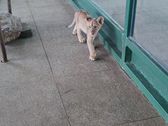 -秦皇岛野生动物园