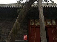 -关林