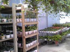 -昆山城市生态森林公园