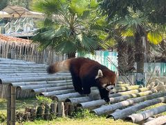 -泉州海丝野生动物世界