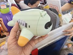 -上海浦东国际机场-T2航站楼