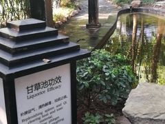 -融汇温泉