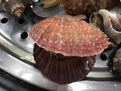 -海岛渔村大酒店(云霄路店)
