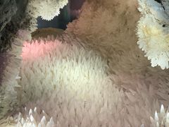 -湖南省地质博物馆