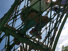 -苏州河梦清园环保主题公园