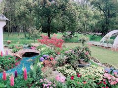 -上海共青森林公园