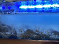 -海天盛宴新派海鲜自助餐厅(群力店)