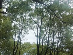-东湖落雁景区
