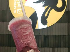 孔雀-茶理宜世(岭南站NOVA店)