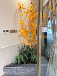 -芳朵美容养生SPA