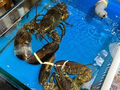 -威海九禧海鲜居渔水饺(经区店)