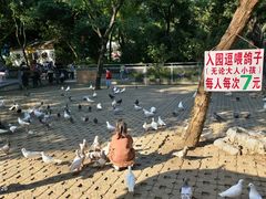 -柳州市动物园