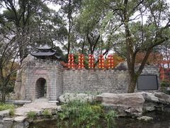 -南山植物园