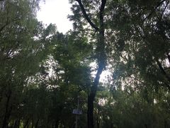 -二一九公园