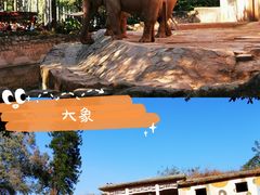 -广州动物园