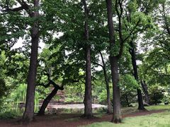 -北海道厅旧本厅舍(旧本庁舎)