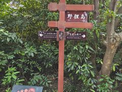 -野狸岛