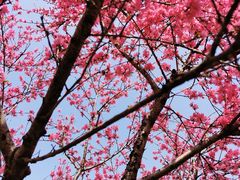 -钱塘江