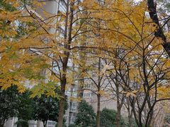 -陕西师范大学(雁塔校区)