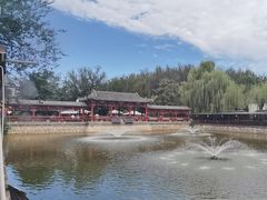 -尚庄度假村·庭台树下·户外烧烤·团建CS·轰趴营地(上庄水库店)