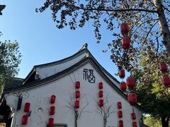 -鲁镇