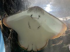 -苏州海洋馆