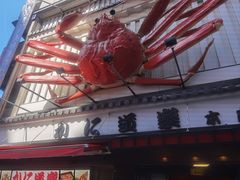 -蟹道乐(道顿堀本店)