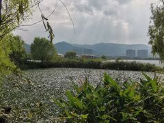 -长兴太湖图影湿地文化园