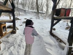 -宫城藏王狐狸村