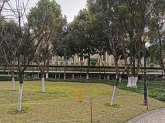 -重庆市江北嘴中央商务区中央公园