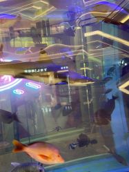 -TSL謝瑞麟(新世界城店)