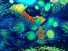 -天津梵高星空艺术馆(天河城旗舰店)