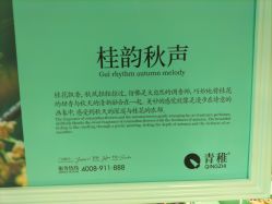 -青稚护手霜QINGZHI