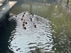 -浙江省博物馆(孤山馆区)