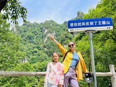 -王顺山国家森林公园