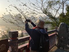 -靖西鹅泉风景区