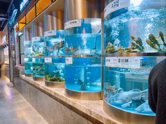 -老船舫·现做活鲜鱼馆(东郊记忆店)