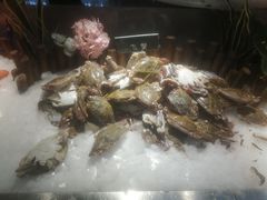 -和谐号蒸汽海鲜烤肉自助餐厅(欧亚新生活店)
