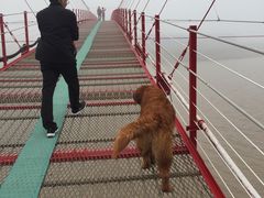 -平湖九龙山旅游度假区