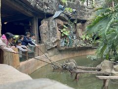 -长鹿旅游休博园