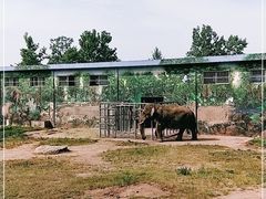 -西安秦岭野生动物园