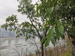 -塔子山公园