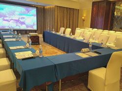 -武汉汉口喜来登大酒店·宴会厅