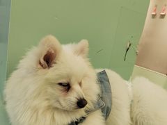 -怪兽屋·羊驼·猫咖·狗咖(俊华广场店)