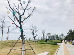 -青岛石老人海水浴场
