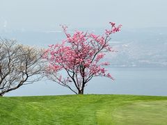 -昆明春城湖畔度假村