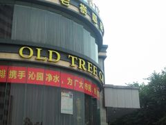 -风雅老树咖啡(清远店)