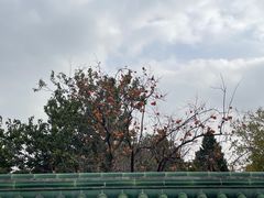 -天坛公园