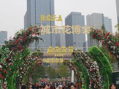 -重庆市江北嘴中央商务区中央公园